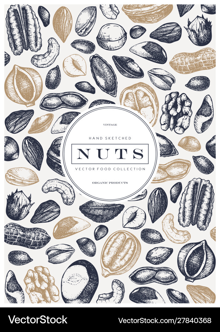 Nuts Rahmen Design hand gezogen pecan macadamia pine Nuts Rahmen Design hand gezogen pecan macadamia pine vektorbild