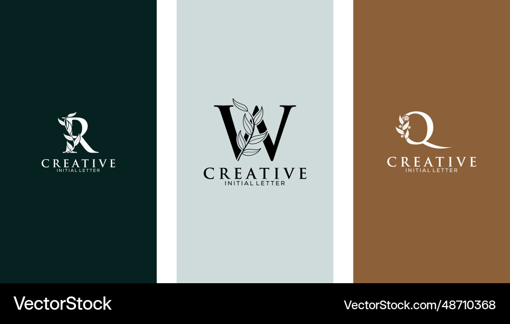 Set of botanical minimalistic initial letter r w Vector Image
