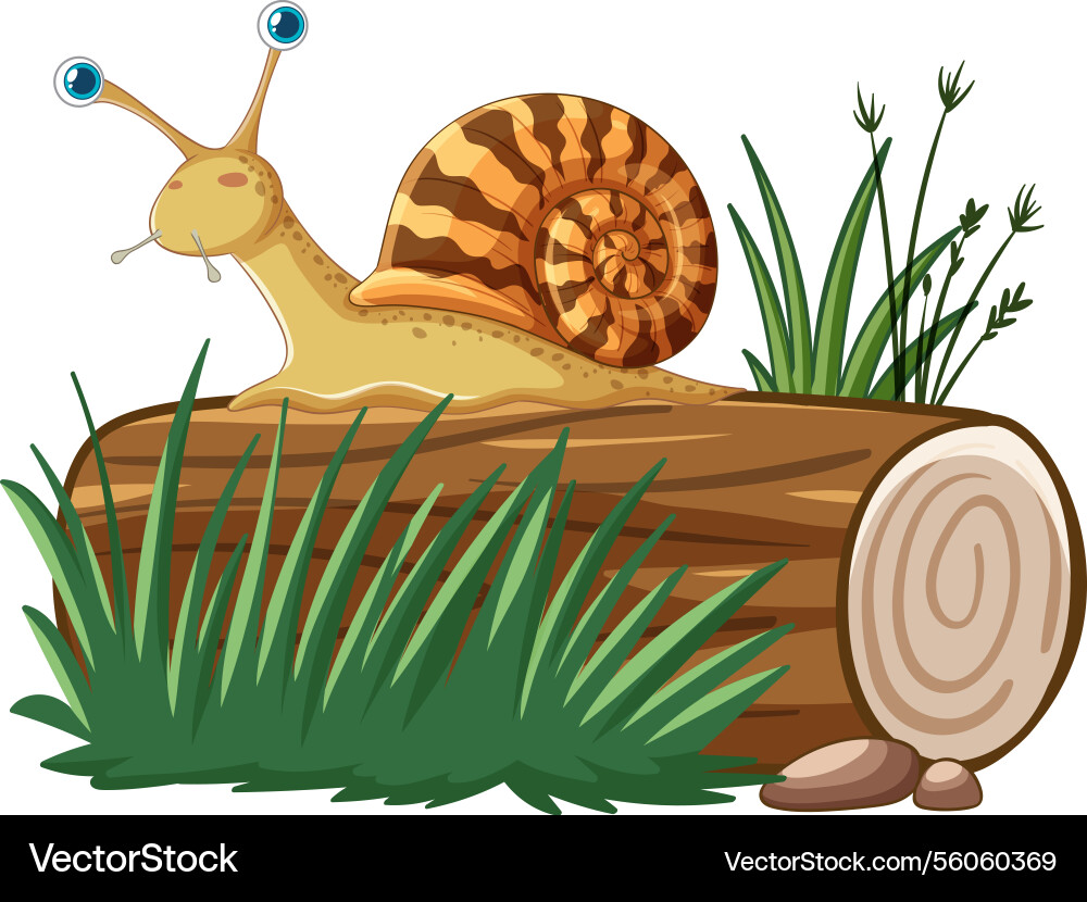 A charming snail with patterned shell rests A charming snail with patterned shell rests vector image