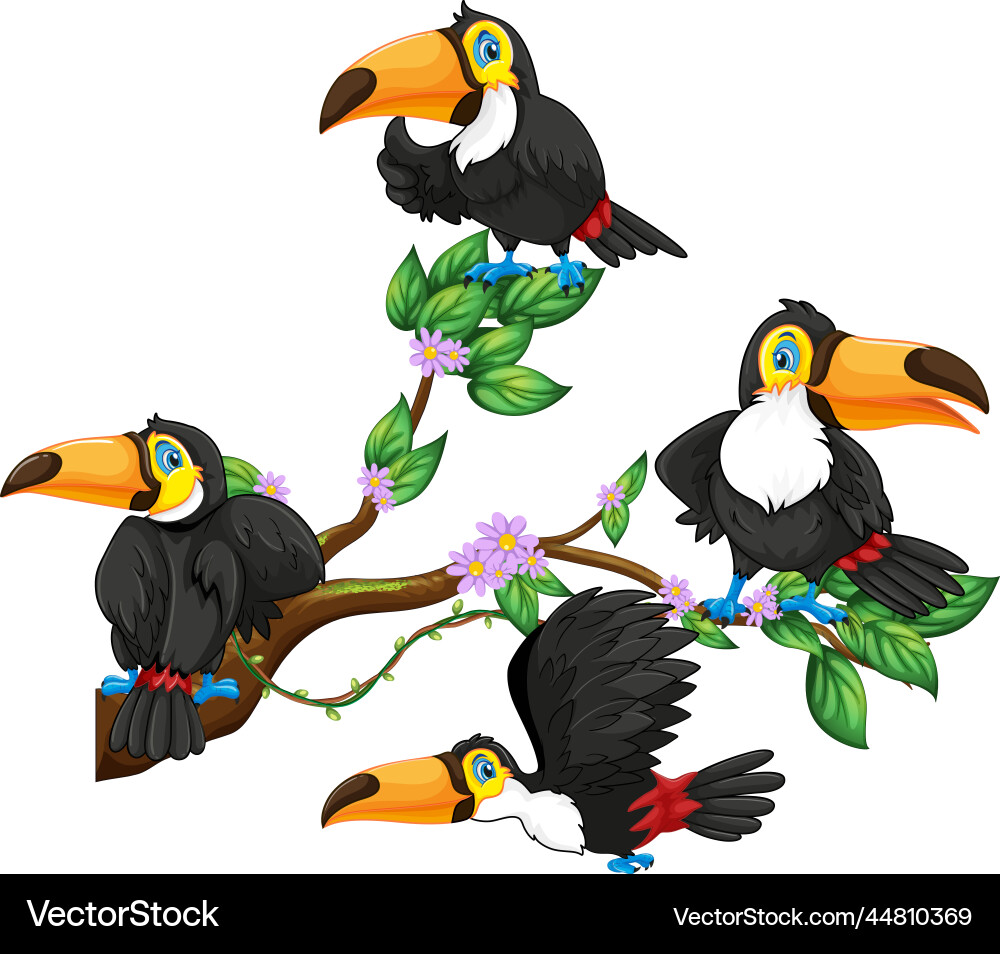 Toucan bird on a tree branch Vector Image