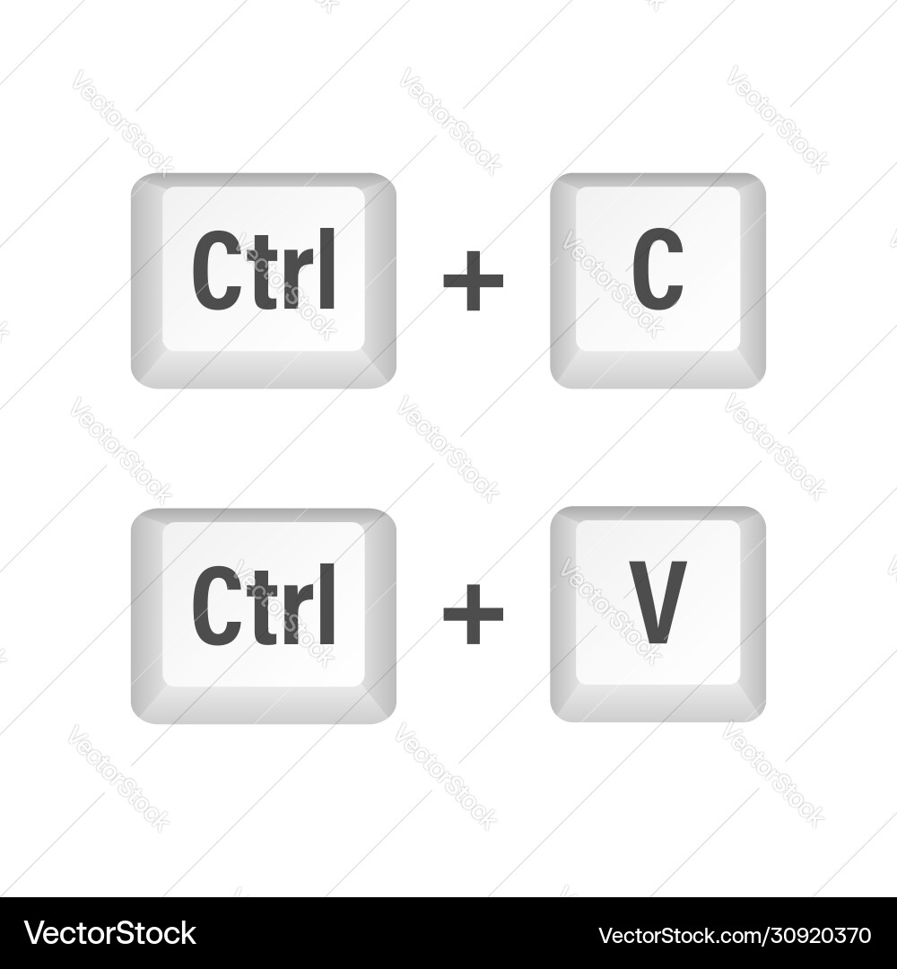 Ctrl+C and Ctrl+V Keyboard Buttons vector image