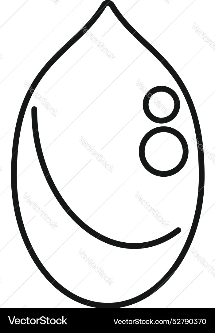 Line style icon representing a pea pod with two Line style icon representing a pea pod with two vector image