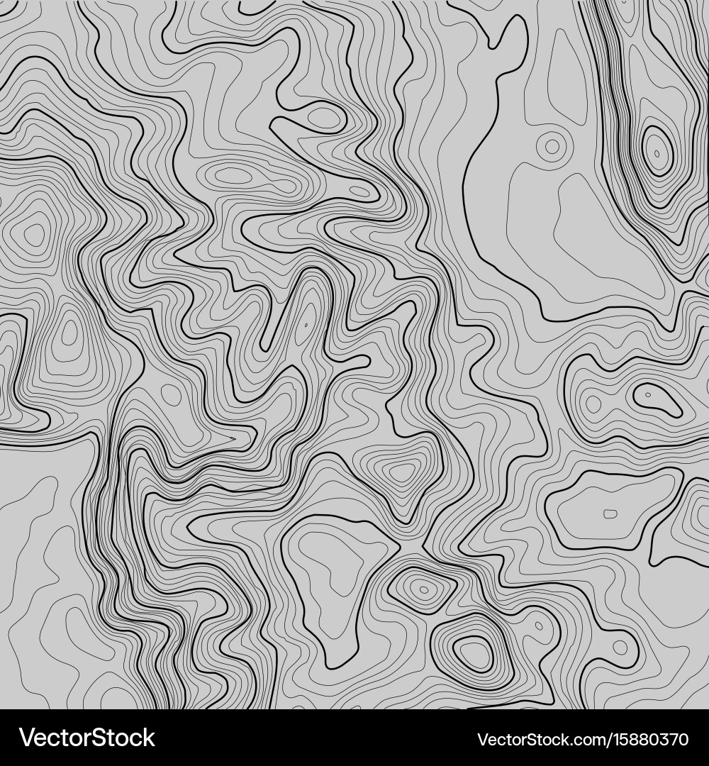 Topographic map background with space for copy vector image
