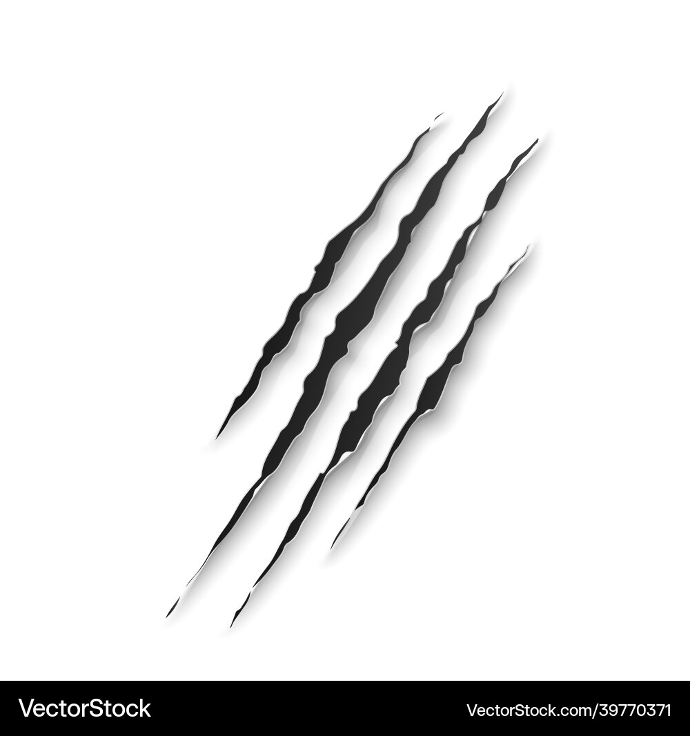 Beast claw marks scratches or wild animal traces Beast claw marks scratches or wild animal traces vector image