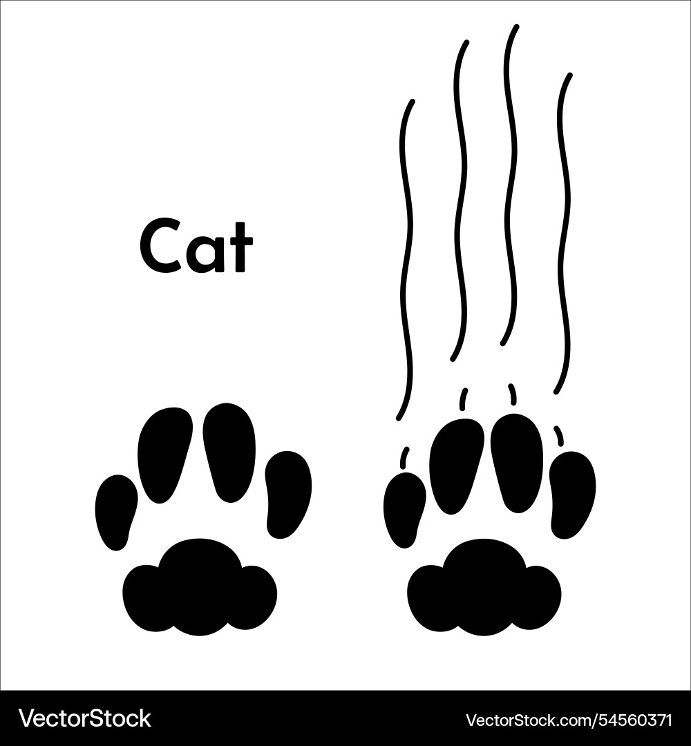 Cat paw print with claw marks scratch talons Cat paw print with claw marks scratch talons Vector Image