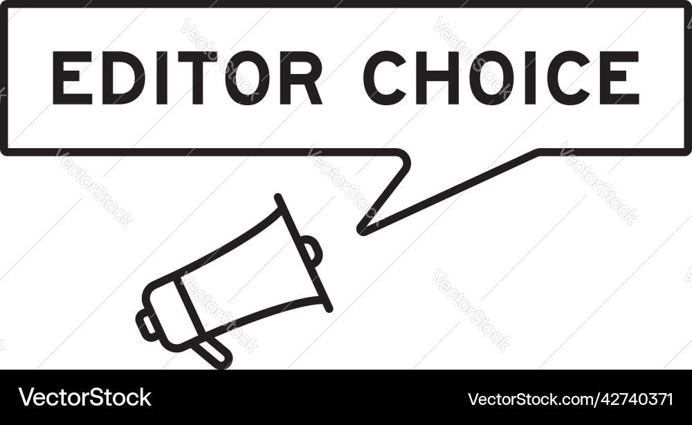 Megaphone icon with speech bubble in word editor Vector Image