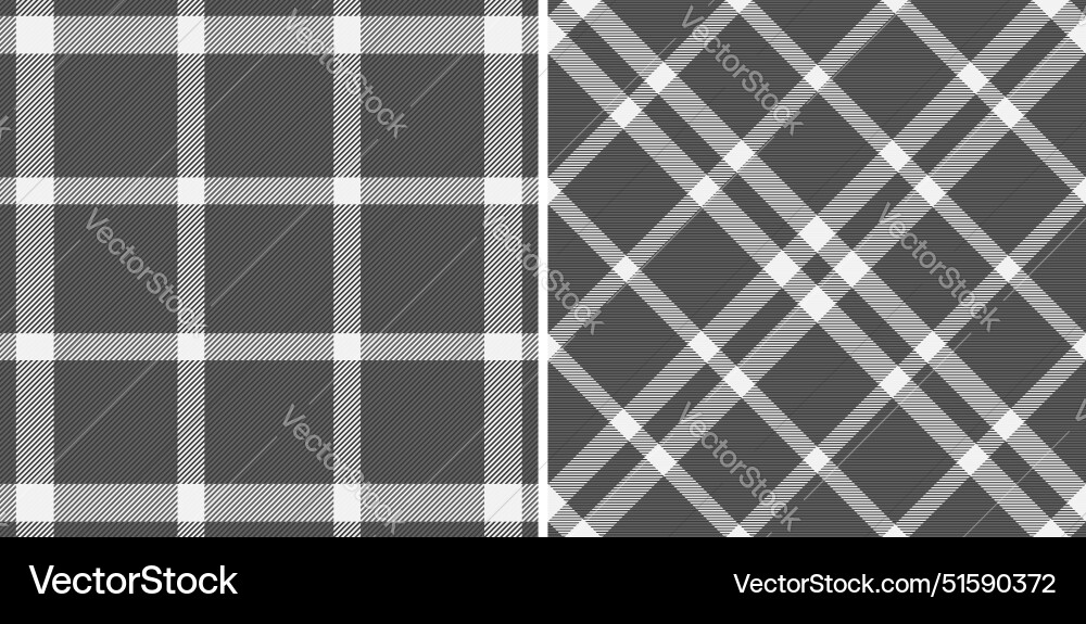 Check textile fabric of pattern texture Vector Image