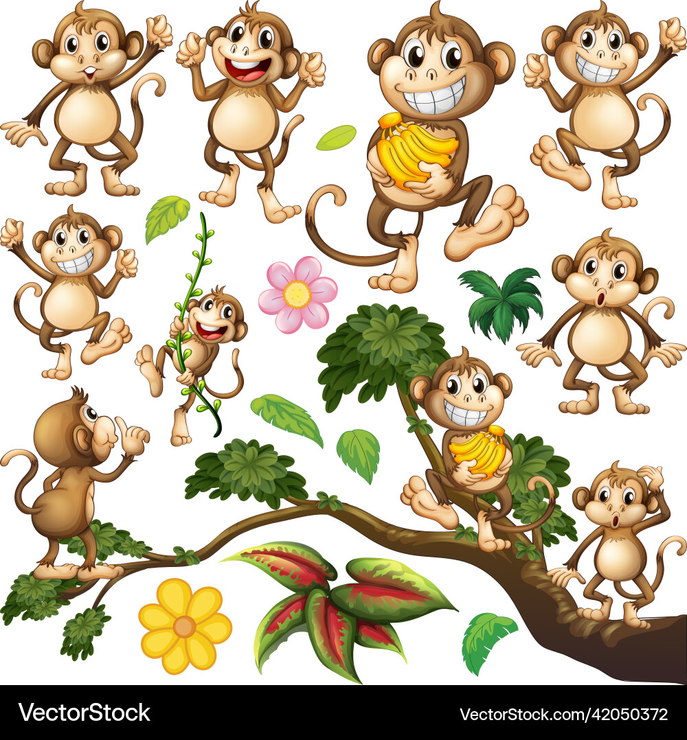 Cute monkey in different actions Cute monkey in different actions vector image
