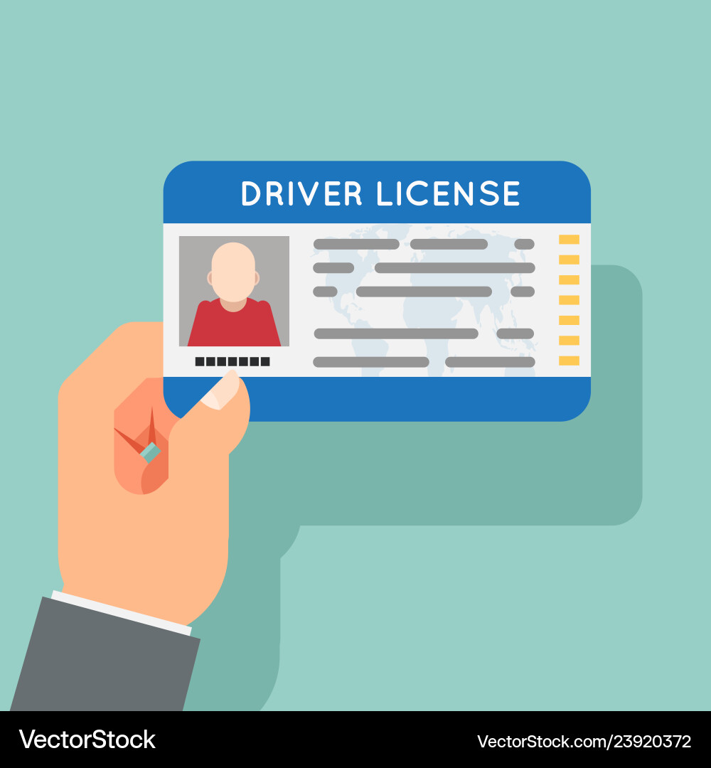 Hand hold car driver license identification photo vector image