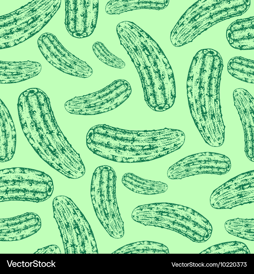 Hand-Drawn Cucumber Pattern vector image