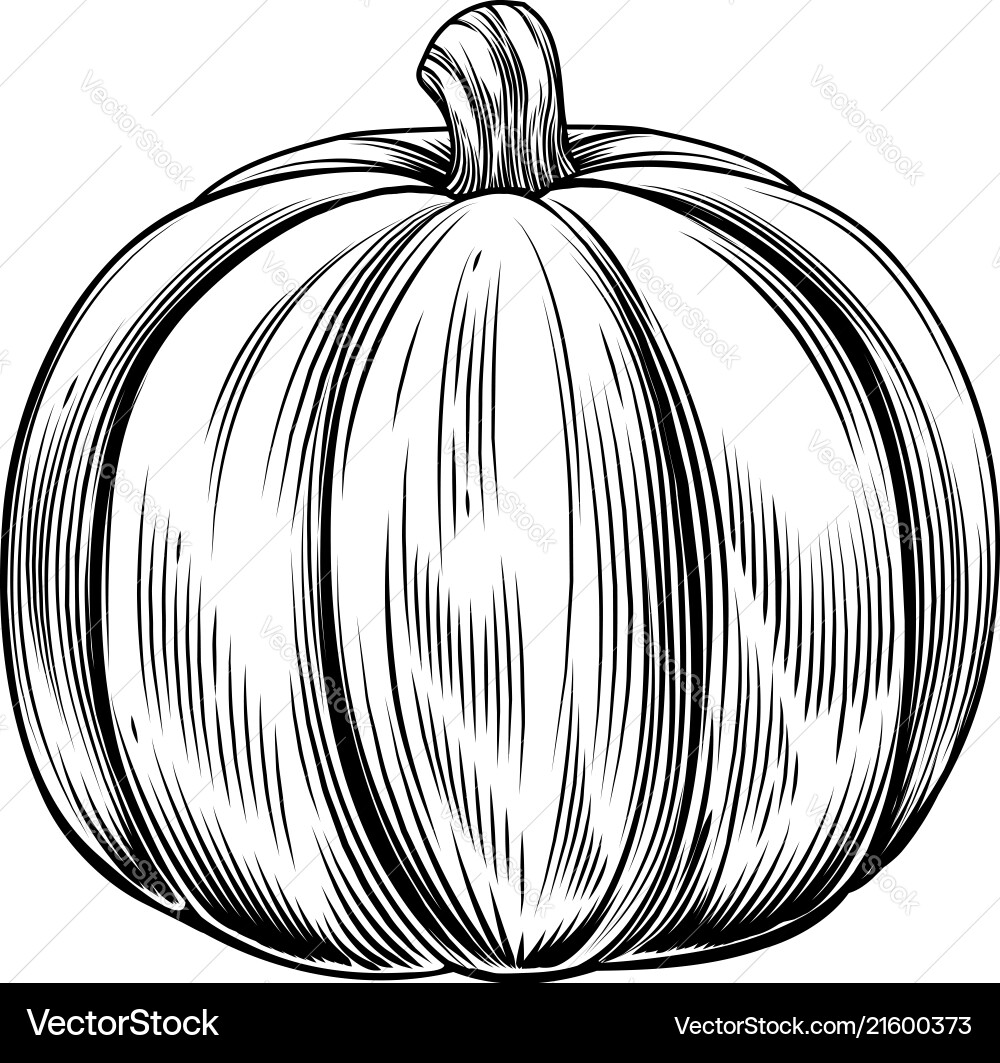 Vintage retro woodcut pumpkin Vintage retro woodcut pumpkin vector image