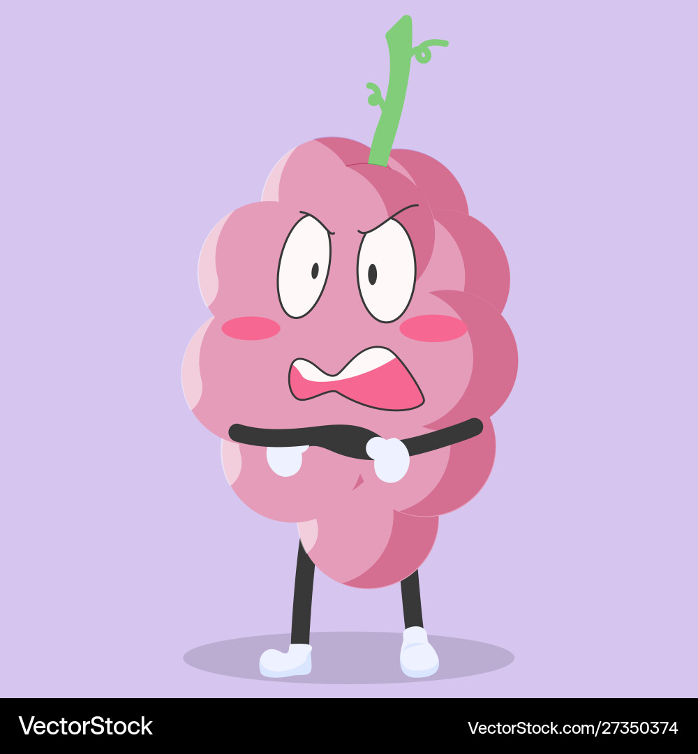 Cute grape characters with angry expressions Cute grape characters with angry expressions vector image