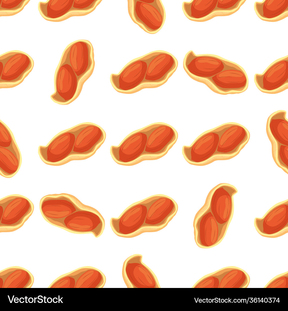 On theme big pattern identical types peanut On theme big pattern identical types peanut vector image
