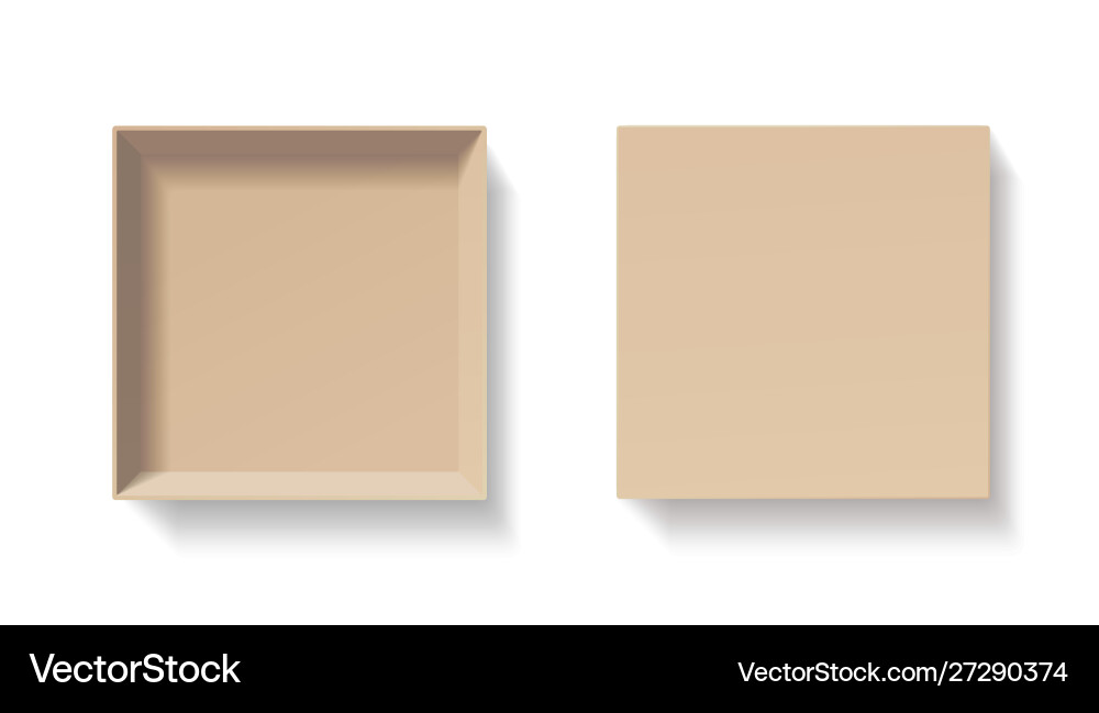 Open craft box empty cardboard container template Vector Image