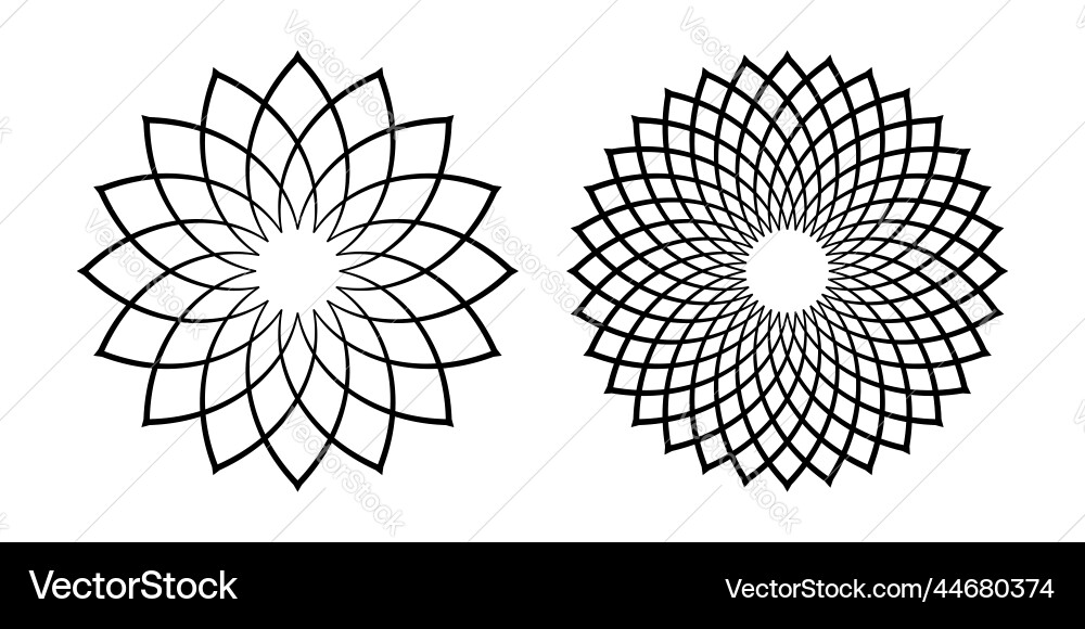 Radial Circle Patterns vector image