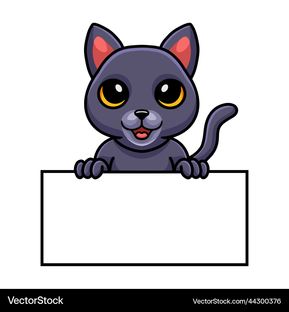 Cute Chartreux Katze Cartoon mit leerem Schild Cute Chartreux Katze Cartoon mit leerem Schild vektorbild