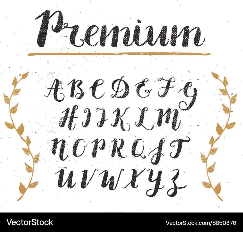 Hand drawn script alphabet letters written vector image