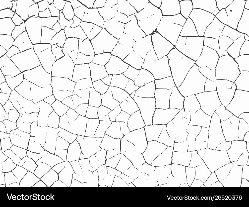 Simply place texture over any object to create vector image