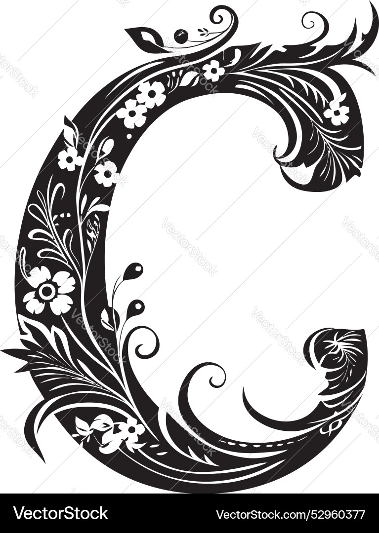 Chic script stylish font c art captivating curves Chic script stylish font c art captivating curves Vector Image