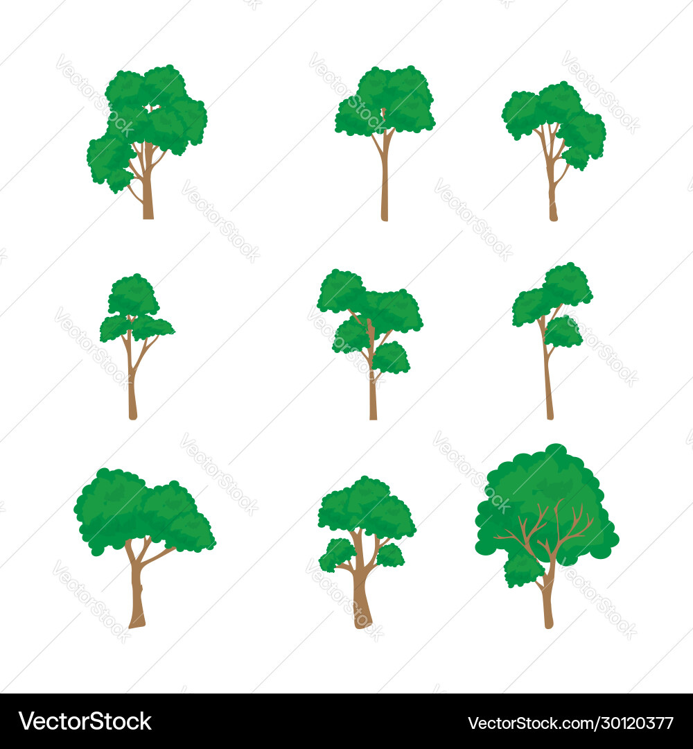Design various tree shapes Vector Image