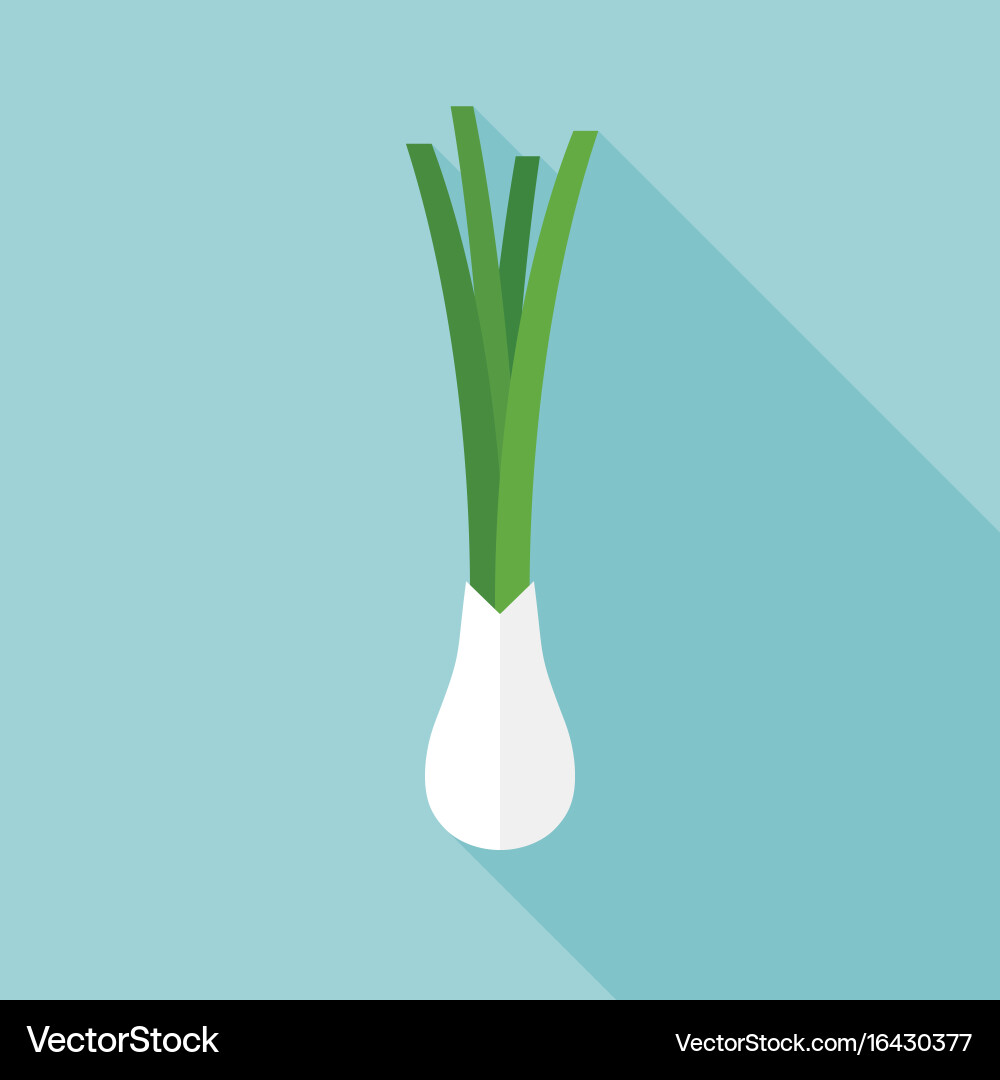 Single Onion Icon with Shadow Vector Image
