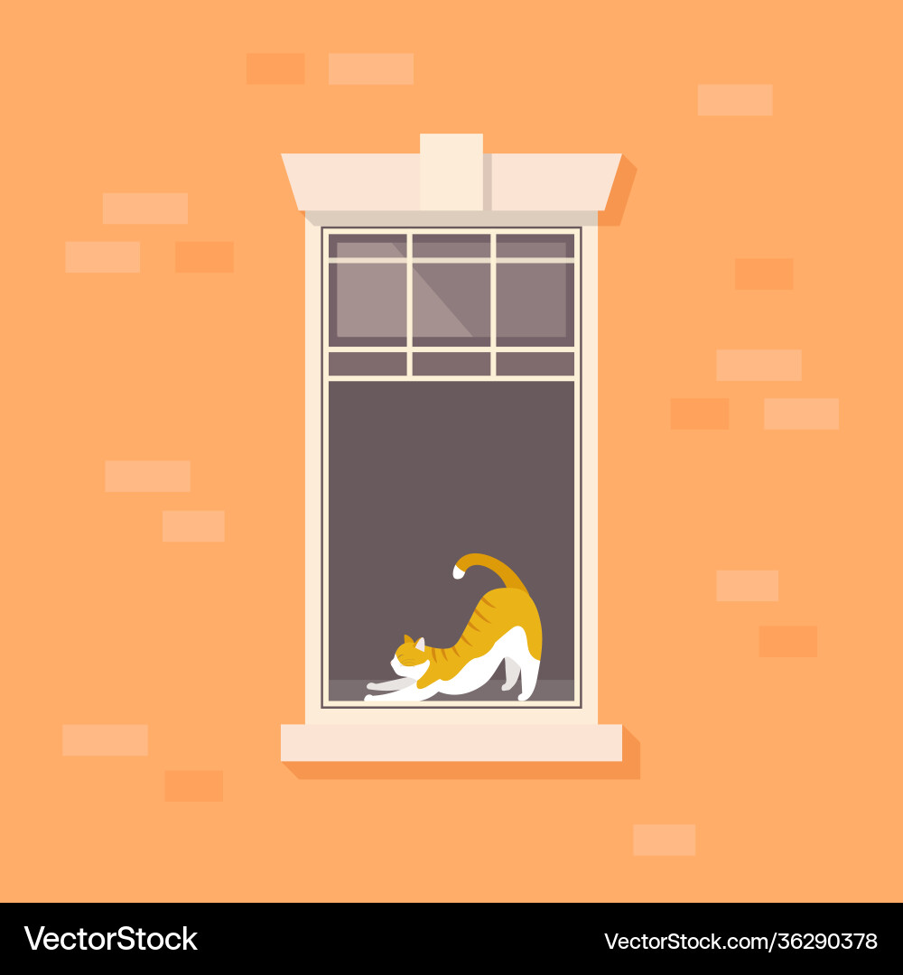 Apartment window with lazy cat vector image