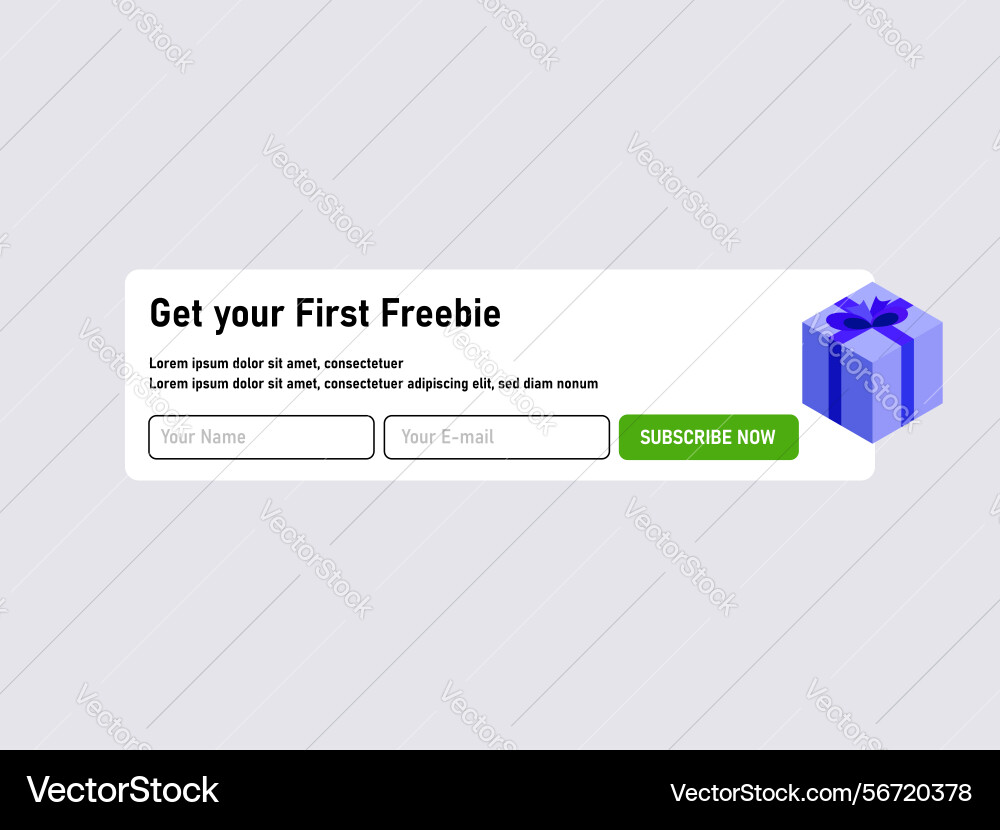 Newsletter subscriptions program with free offer vector image