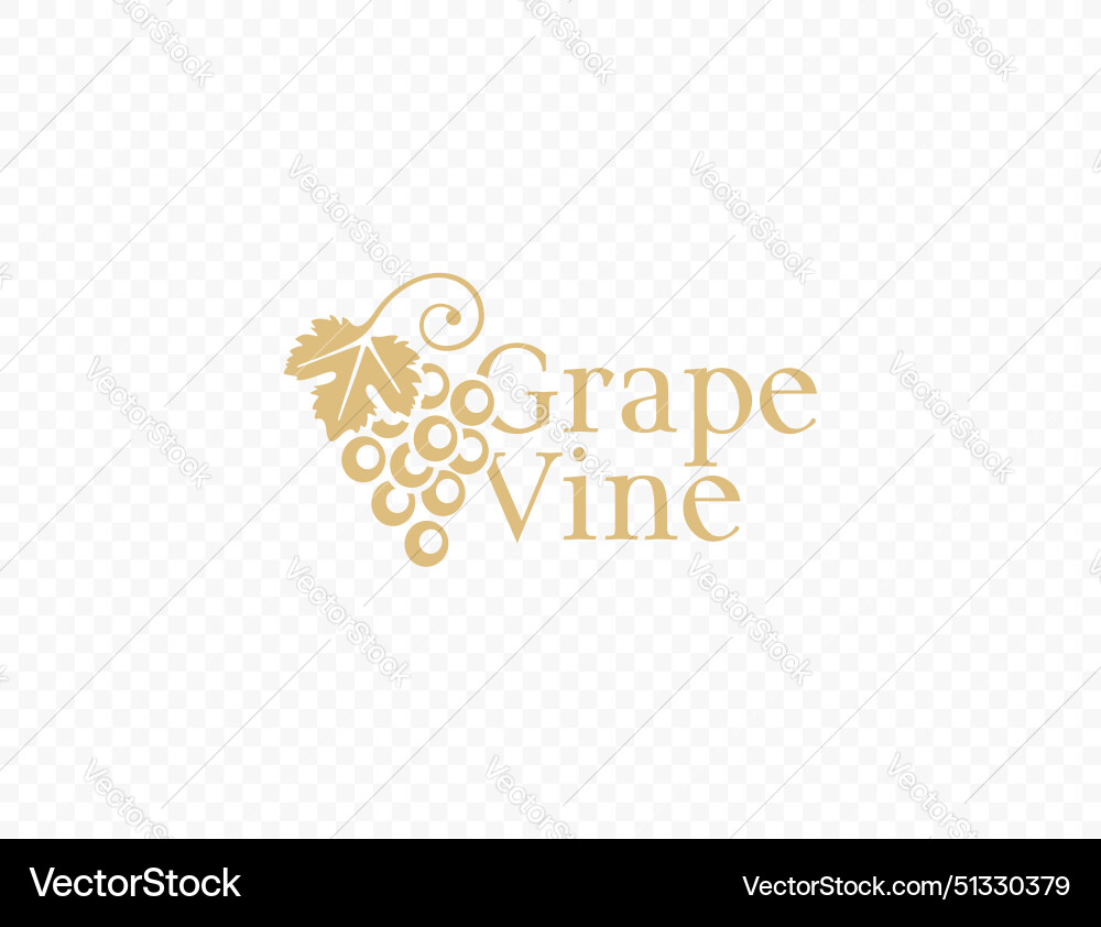 Grapevine with grape leaf logo design Vector Image