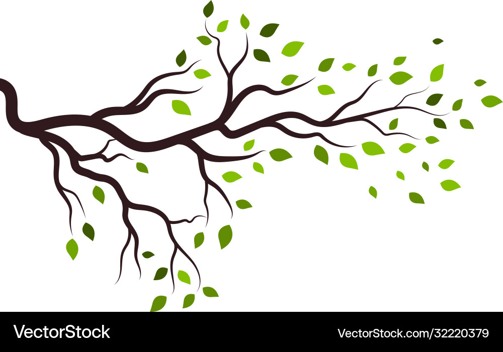Tree branch design Tree branch design vector image