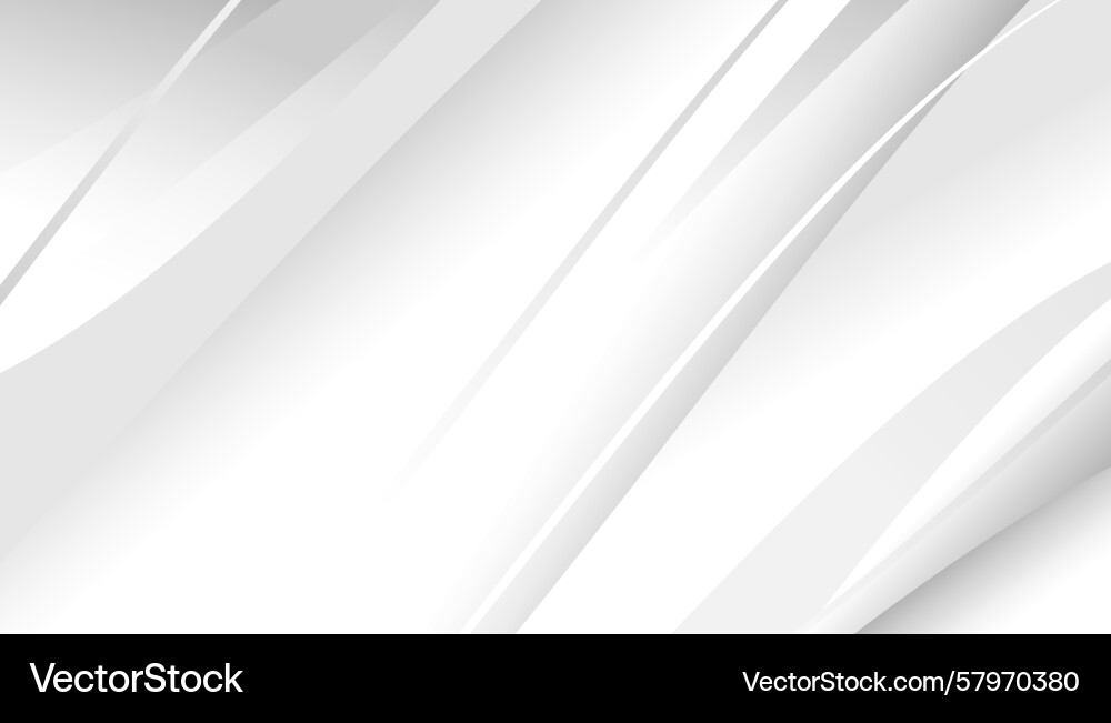 Abstract white and grey background with dynamic Vector Image