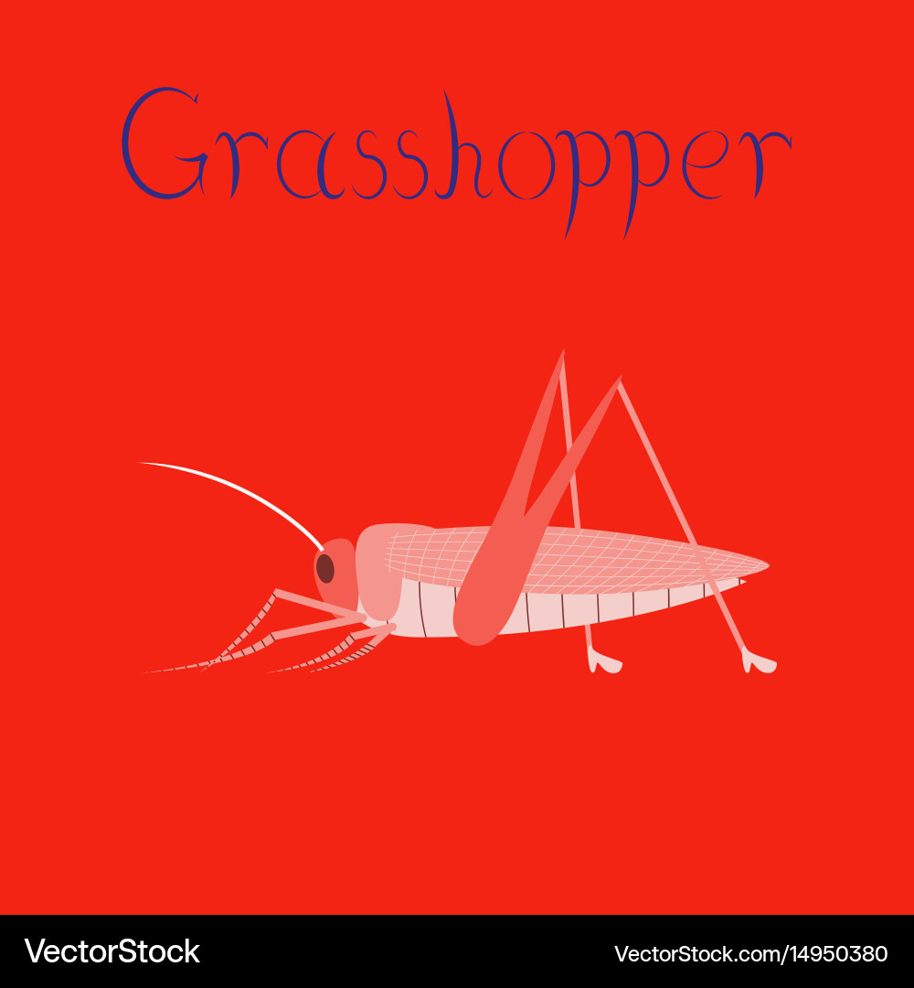 Flat on background grasshopper Vector Image