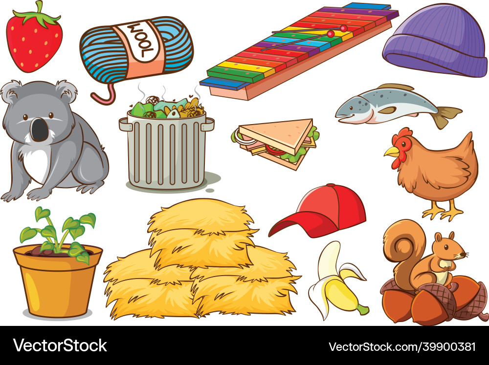 Set of various animals and objects Set of various animals and objects vector image