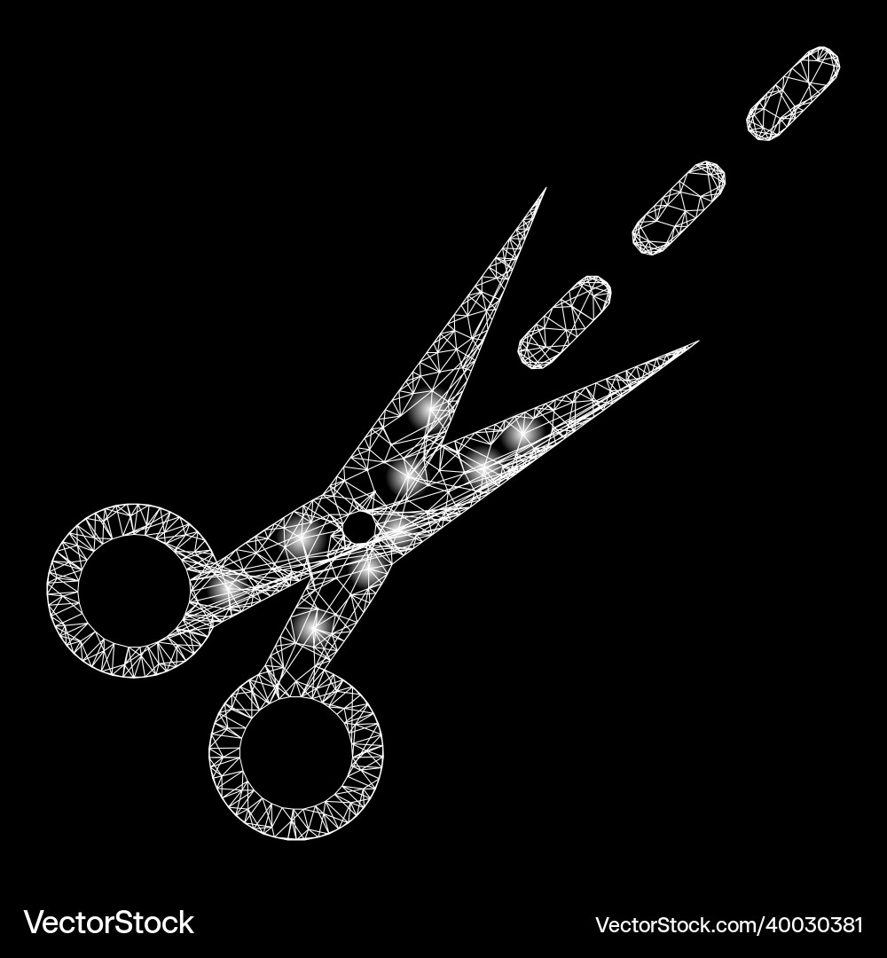 Shiny network mesh scissors line with light spots Shiny network mesh scissors line with light spots vector image
