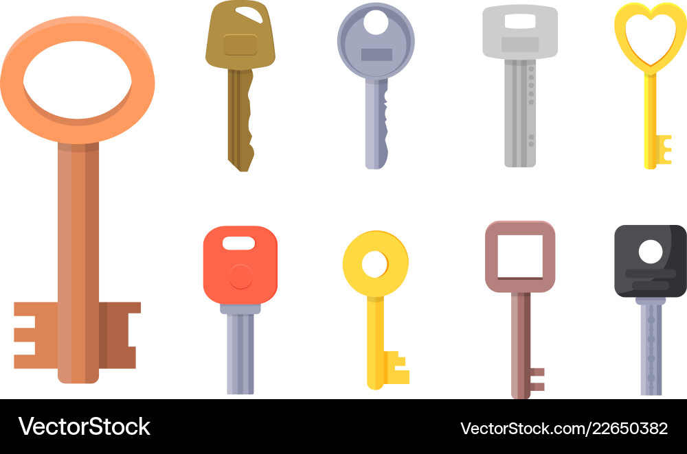 Flat of different type keys Flat of different type keys vector image