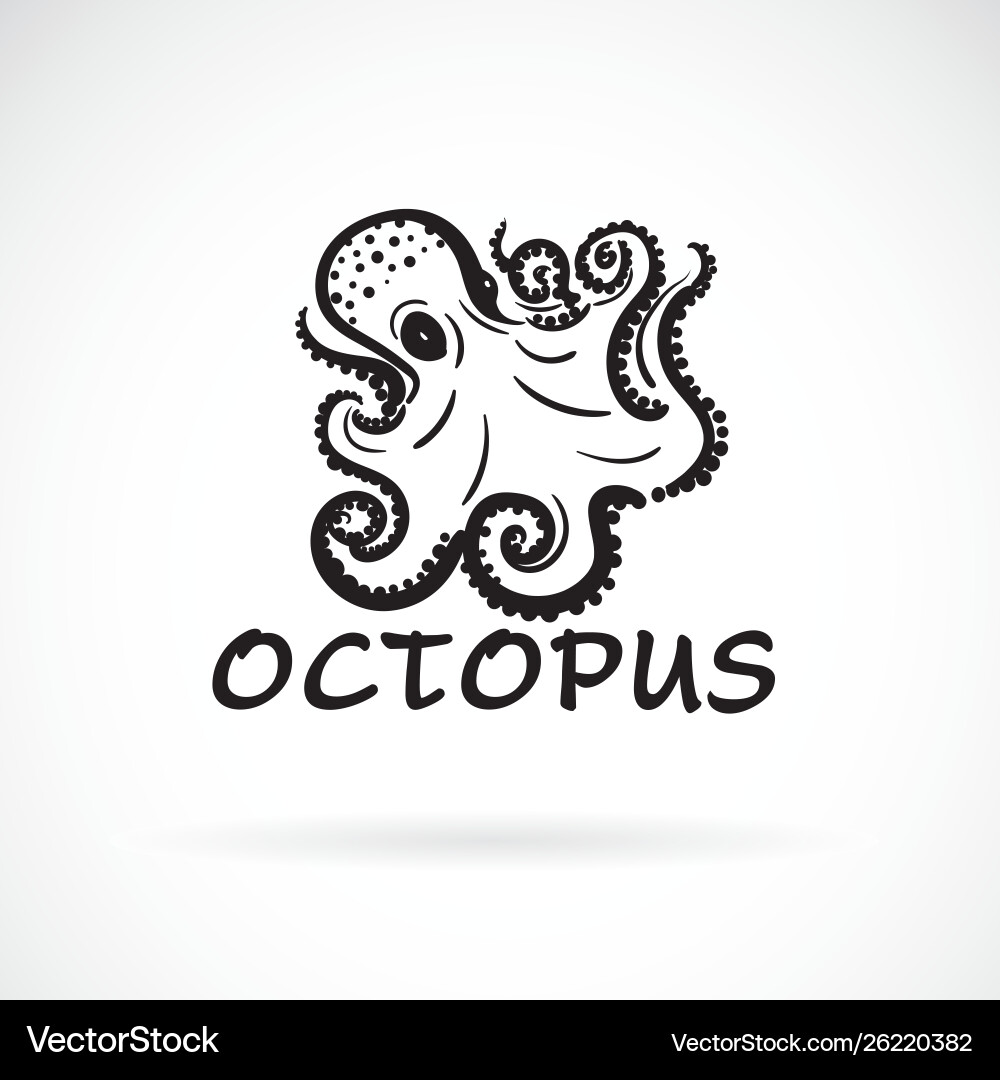 Freihand Oktopus Malerei auf weißem Hintergrund Meer Freihand Oktopus Malerei auf weißem Hintergrund Meer vektorbild