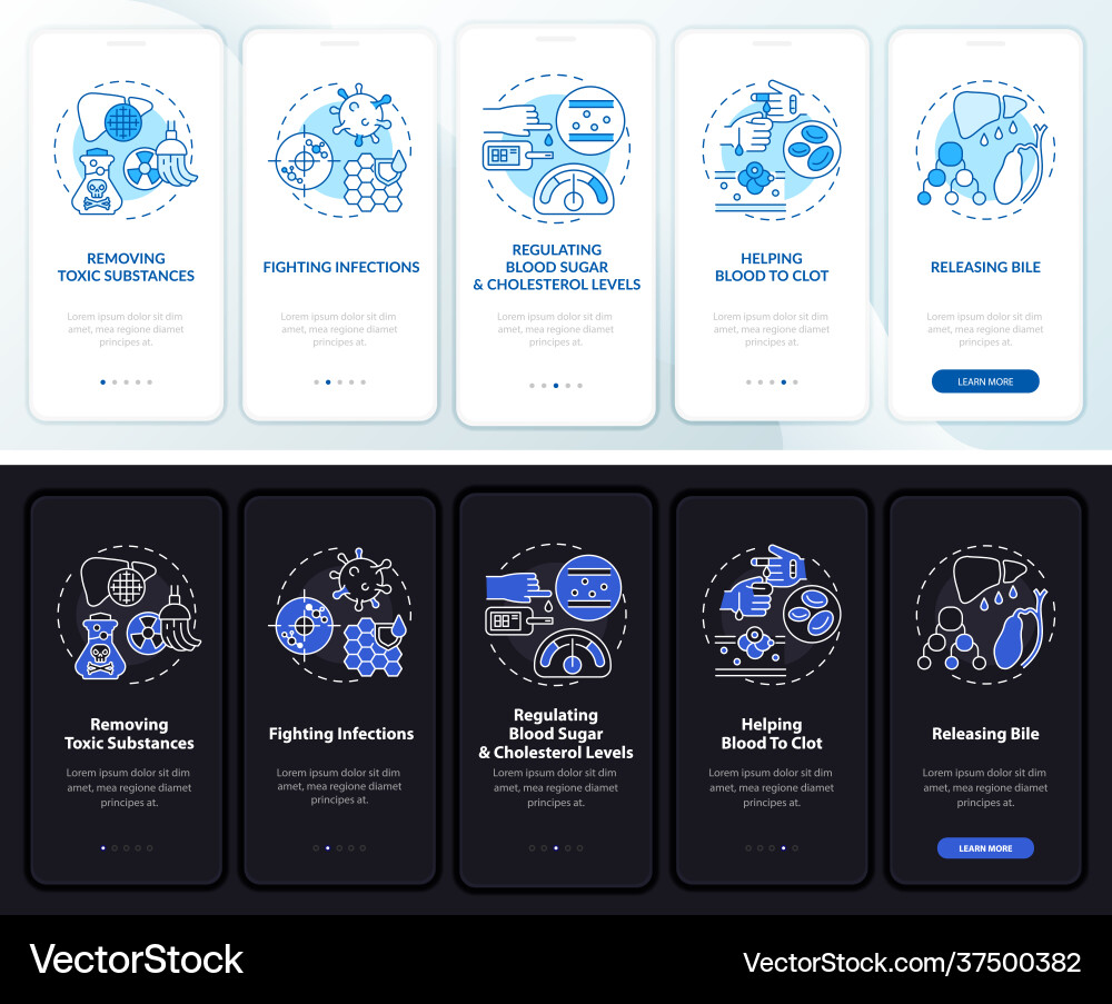 Hepatic functions onboarding mobile app page Vector Image
