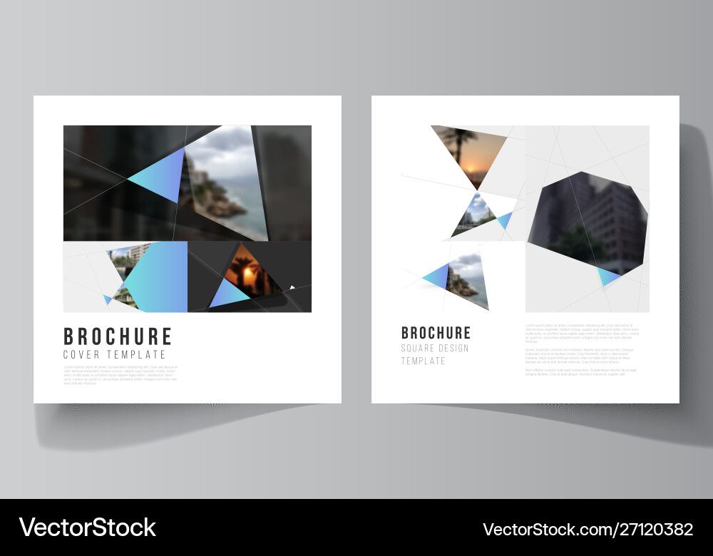 Minimal layout two square format Minimal layout two square format vector image