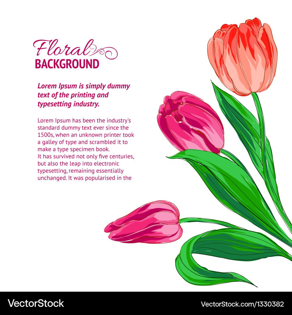 Red tulips and sample text vector image