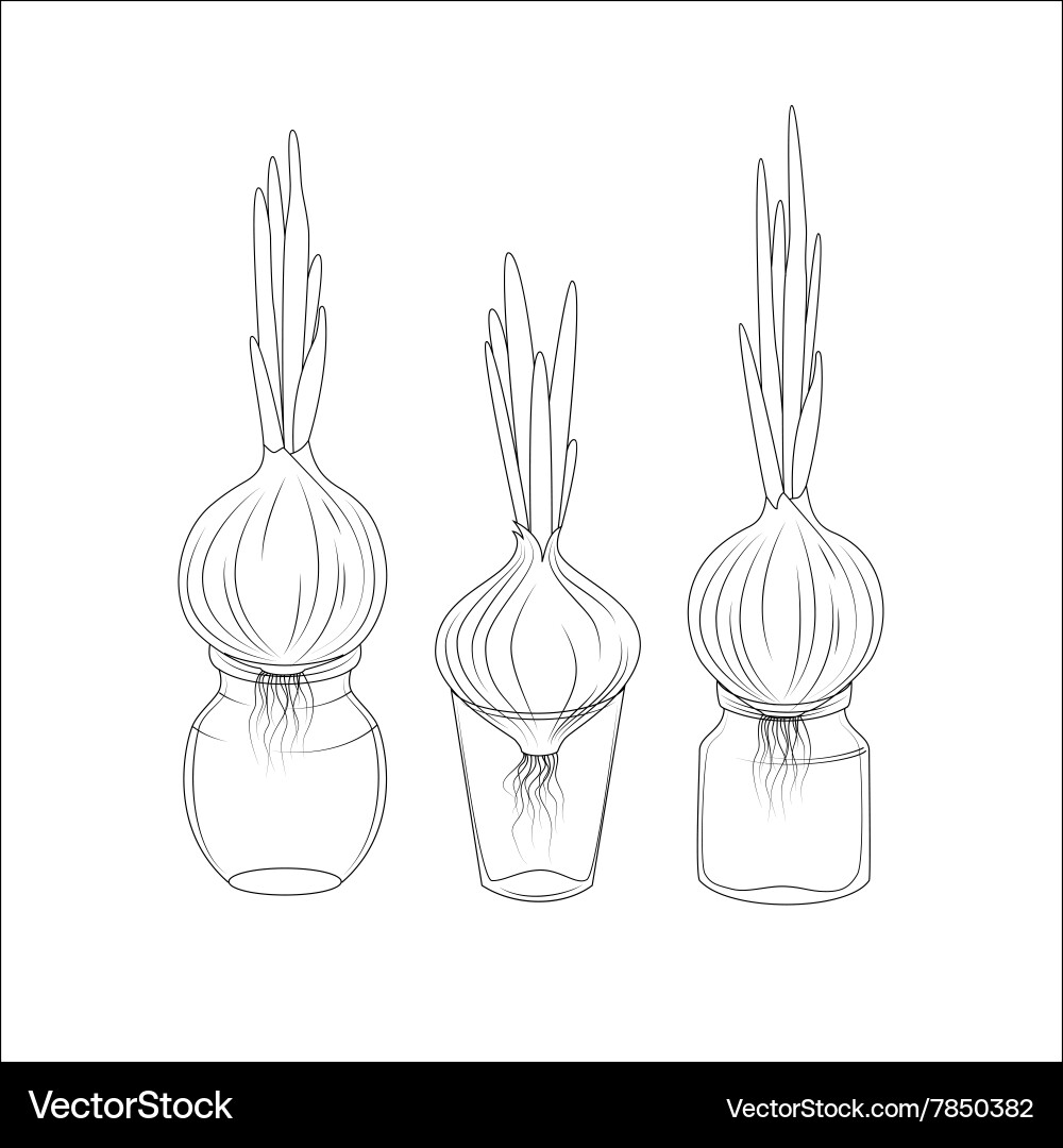 Spring onion set vector image