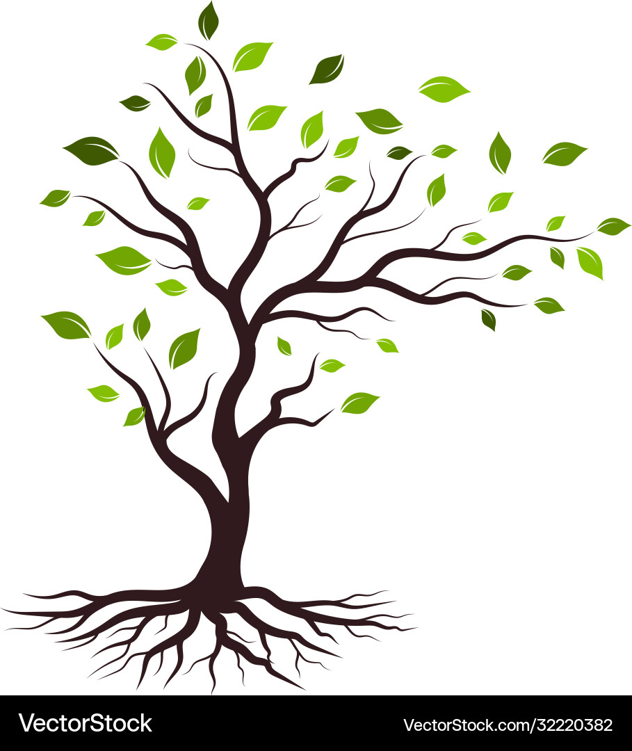 Tree branch design Tree branch design vector image
