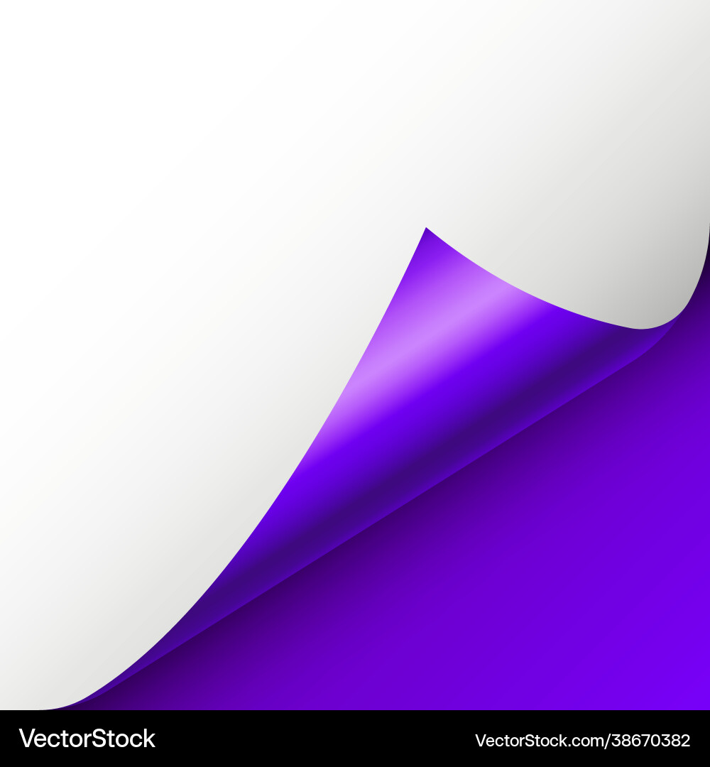 Violet paper curl curled page corner with shadow vector image