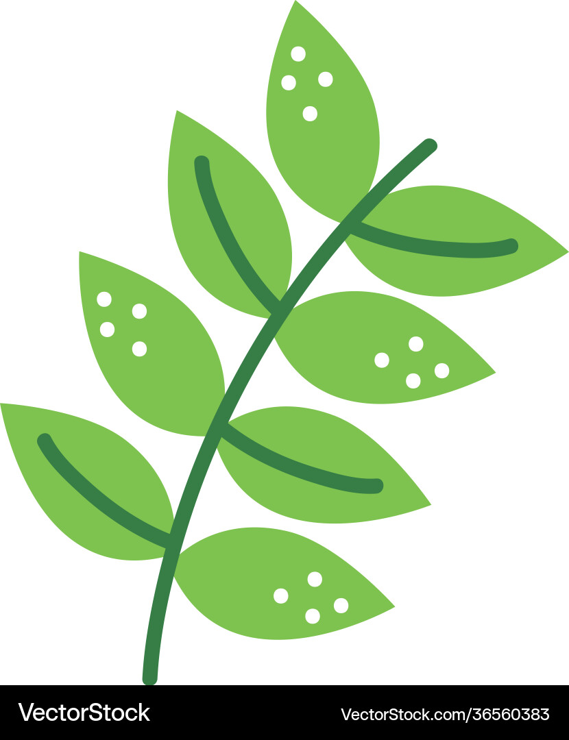 Leafs branch spring Royalty Free Vector Image - VectorStock