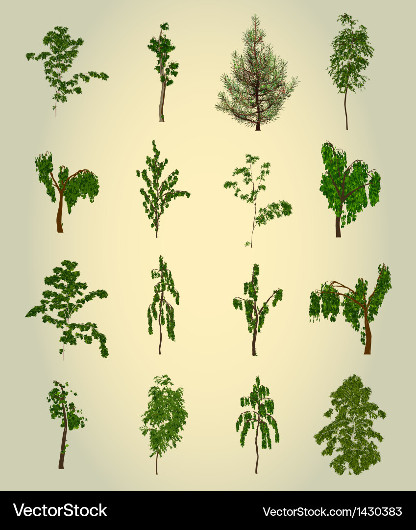 Set tree element for design Vector Image