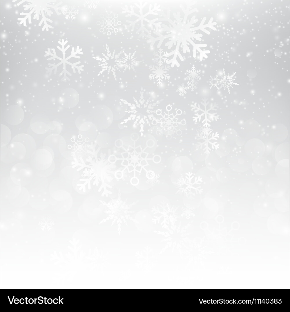 Snow Bokeh Background vector image