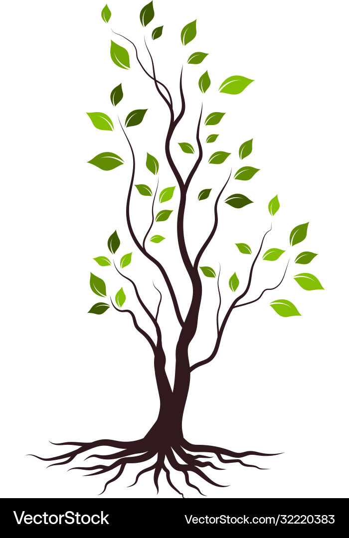 Tree branch design Tree branch design vector image