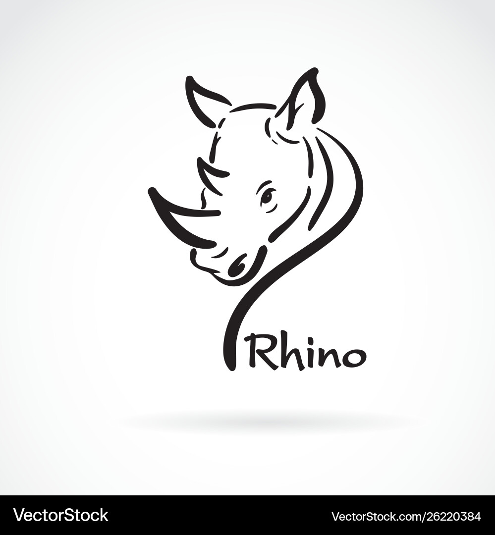 Freehand Rhino Head Painting Vector Image