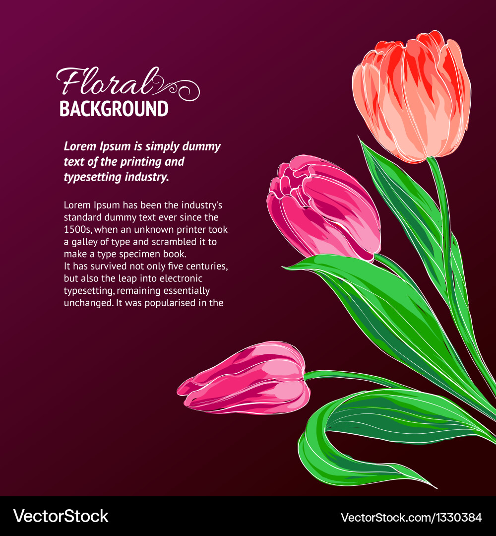 Red tulips and text place vector image