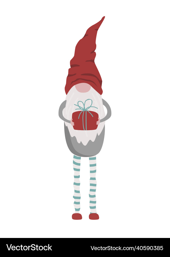 Cute christmas gnome with long legs holding a gift Cute christmas gnome with long legs holding a gift vector image