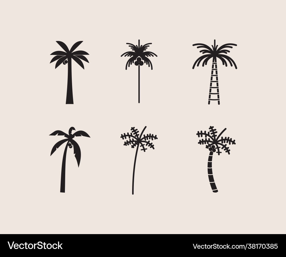 Logo design template with palm tree – Free Vector | VectorStock