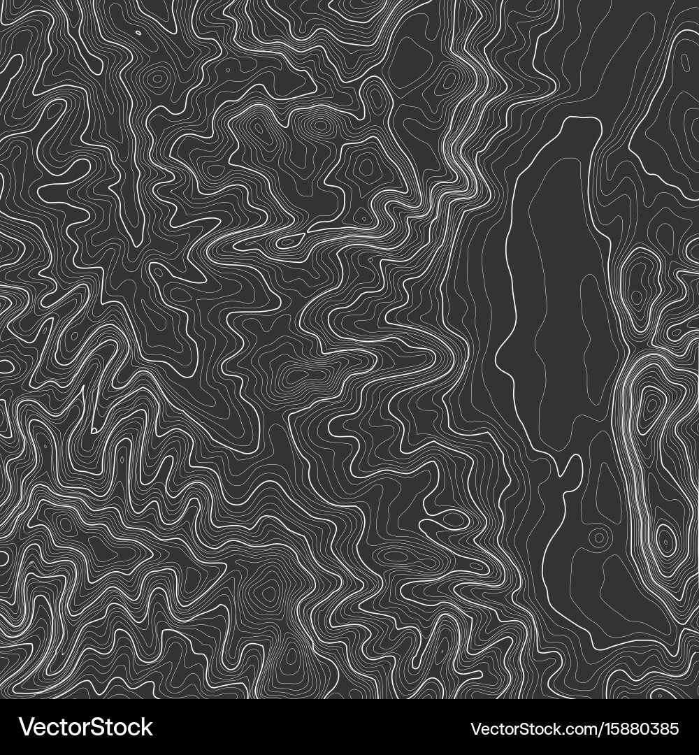 Topographic map background with space for copy Vector Image